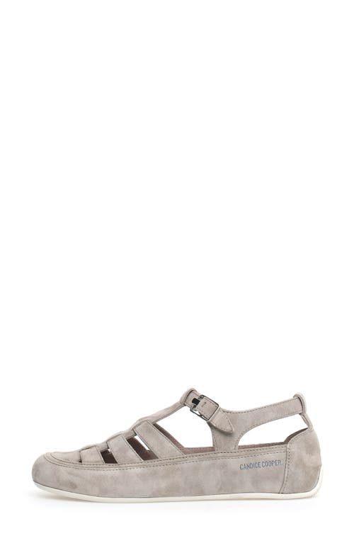 Candice Cooper Rock T-bar Fisherman Sandal In Slate