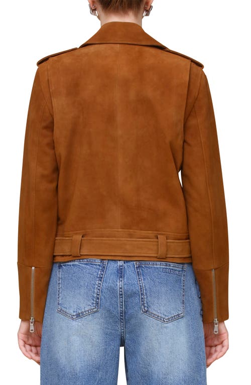 Avec Les Filles Belted Suede Moto Jacket In Camel