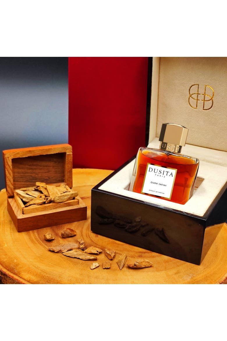 Oudh Infini Eau de Parfum, Alternate, color, None