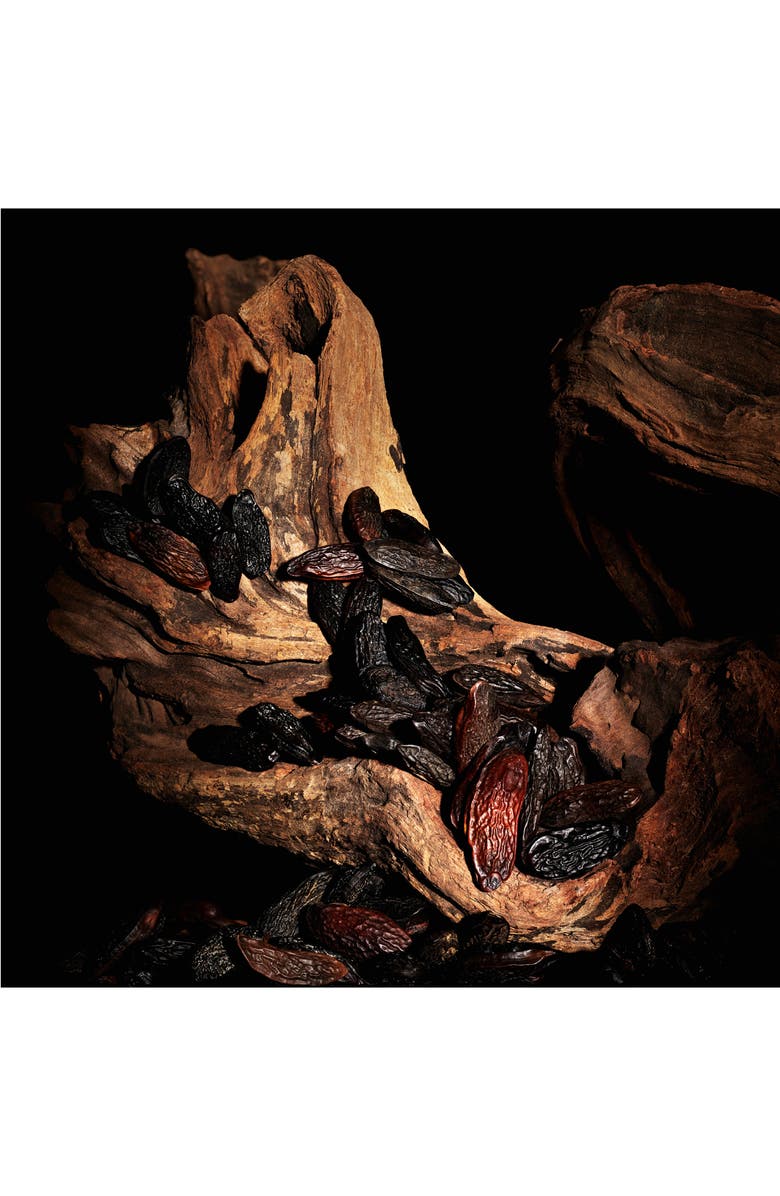 Yves Saint Laurent Caban - Les Vestiaire des Parfumes, Alternate, color, 