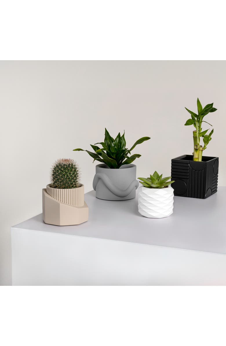 JONATHAN Y Romy Modern Minimalist Handmade Concrete Geometric Planter Set with Drainage Holes, Alternate, color, Black