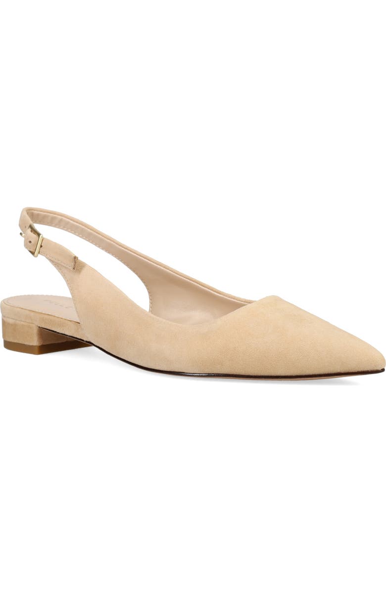 Pelle Moda Aali Pointed Toe Slingback Flat, Main, color, Latte