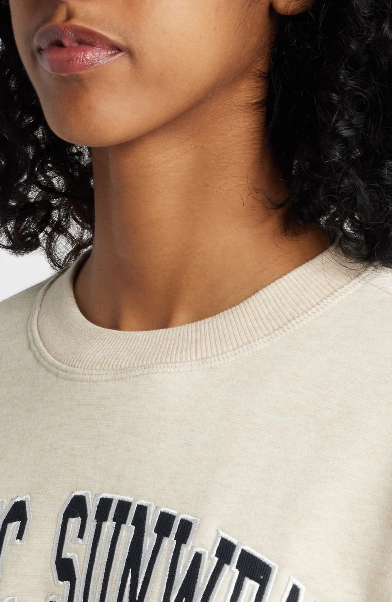 PacSun 1980 SoCal Embroidered Fleece Crewneck Sweatshirt, Alternate, color, 