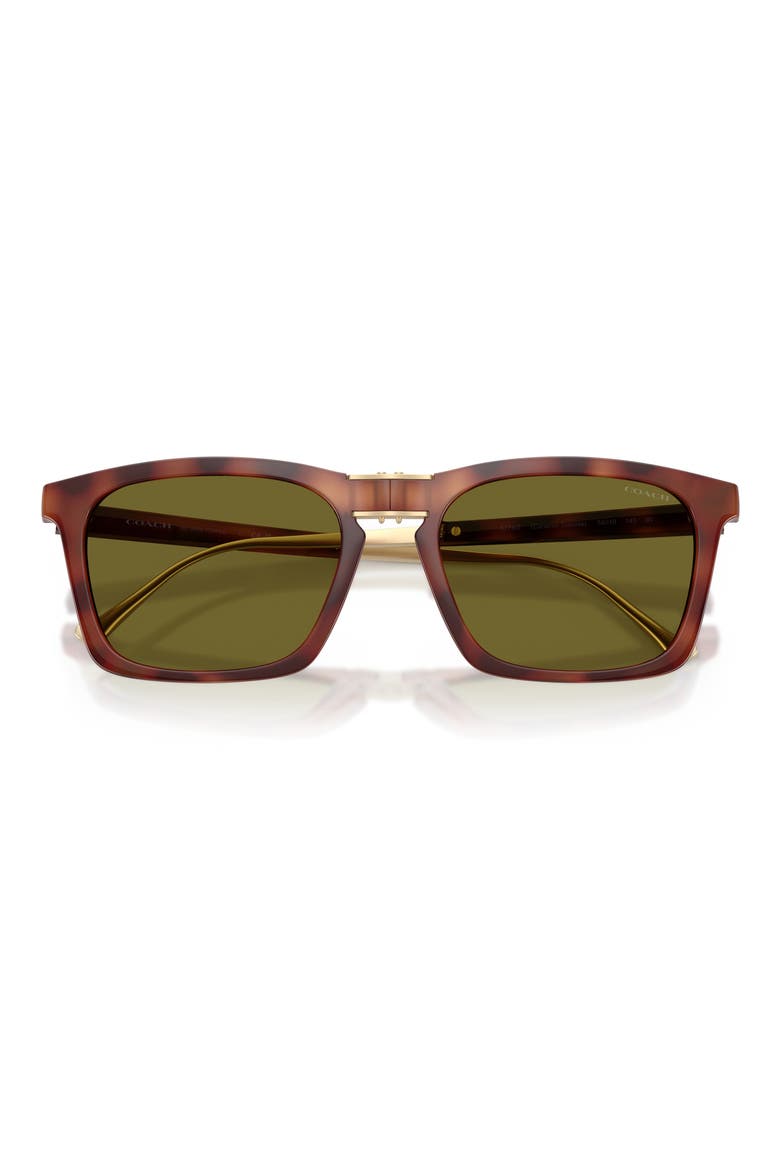 56mm Square Sunglasses, Alternate, color, CARAMEL TORTOISE / GREEN SOLID
