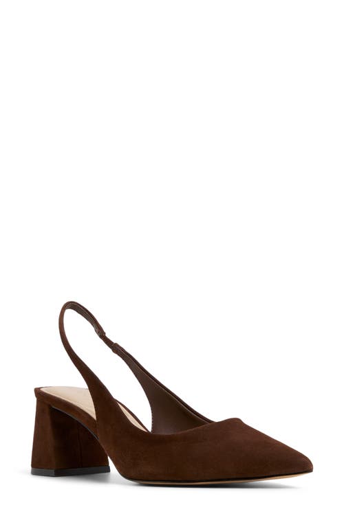 Aldo Uliana Slingback Pointed Toe Pump In Brown