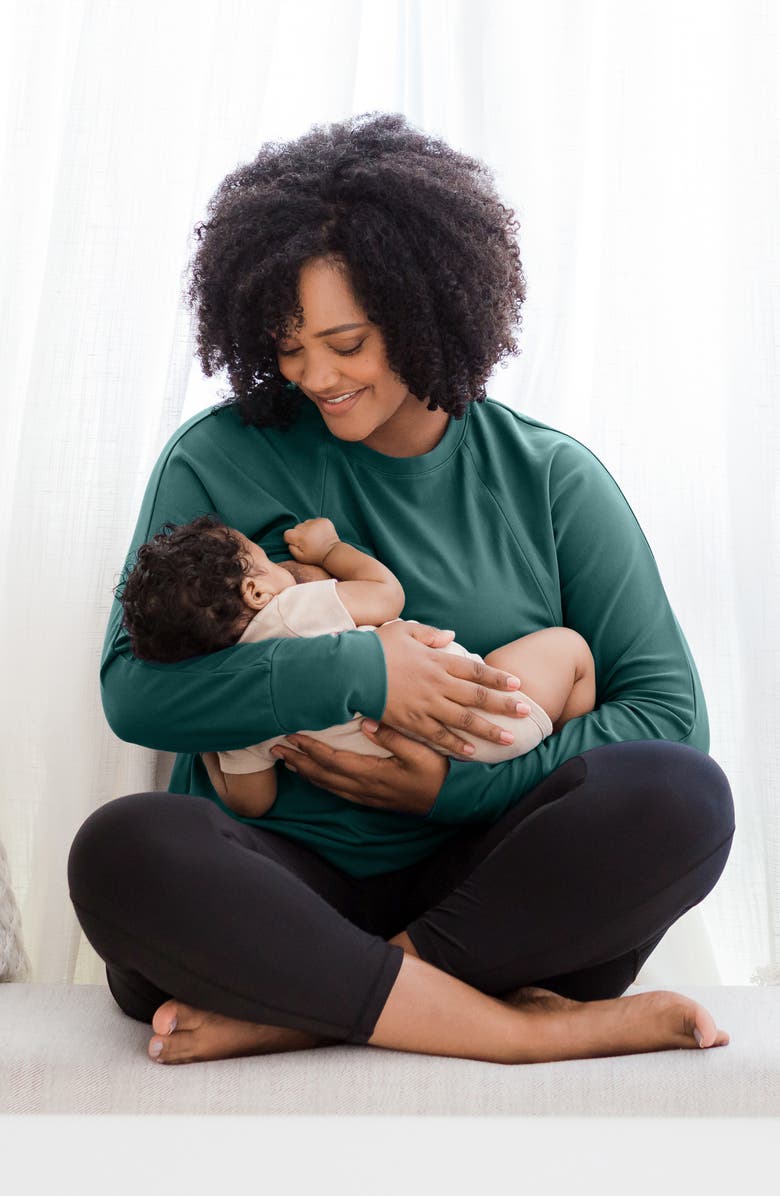 Kindred Bravely Relaxed Fit Maternity/Nursing Sweatshirt, Alternate, color,