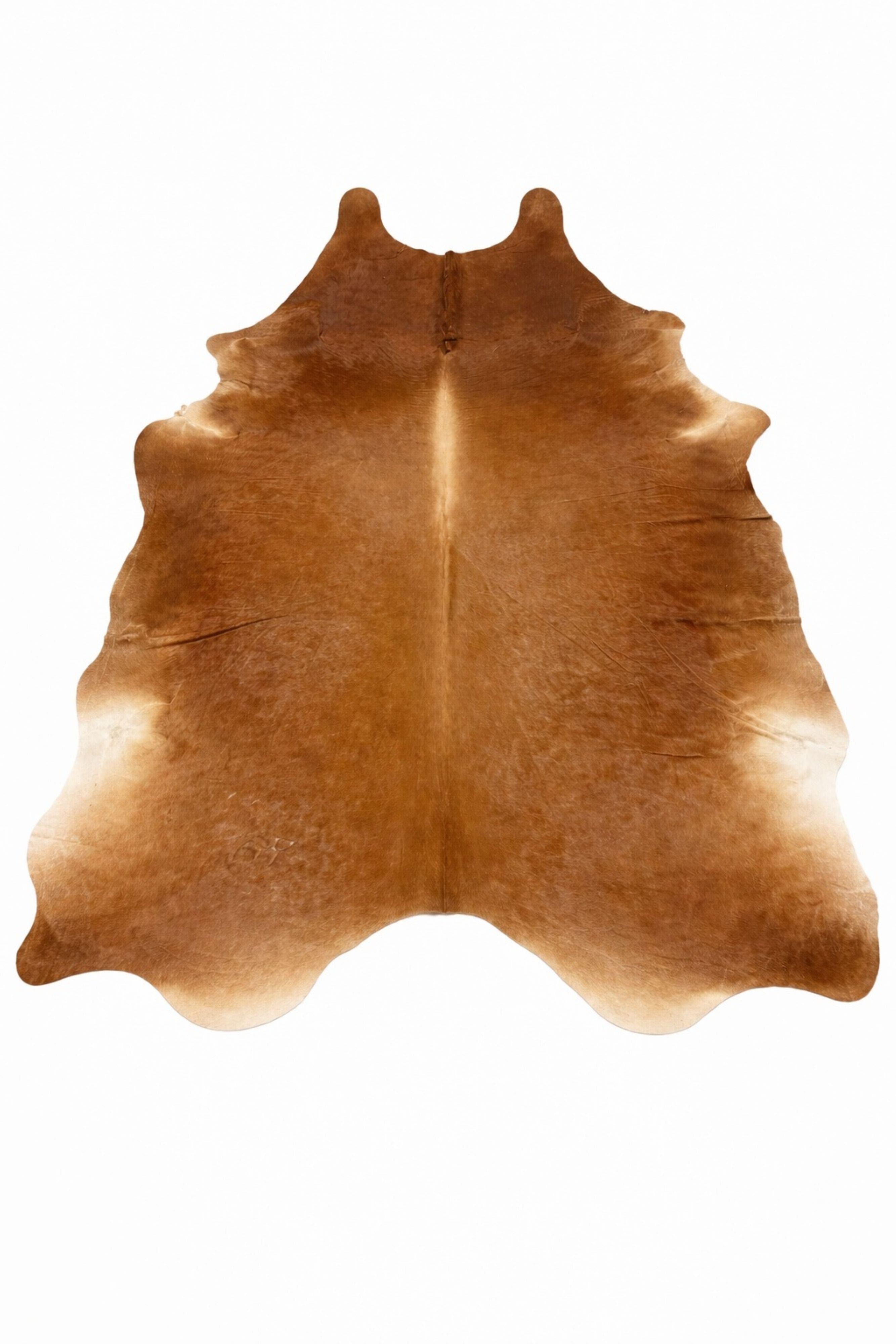 selected Warm Browns