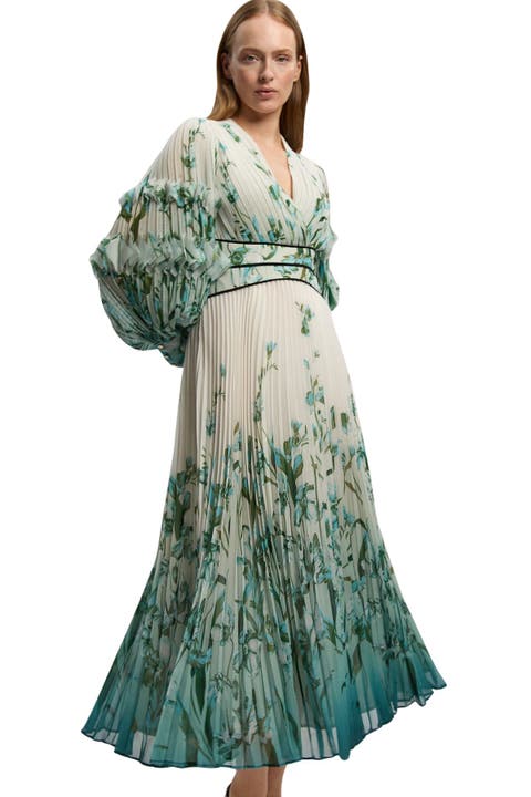 Plunge V-Neck Fit Flare Maxi Dress