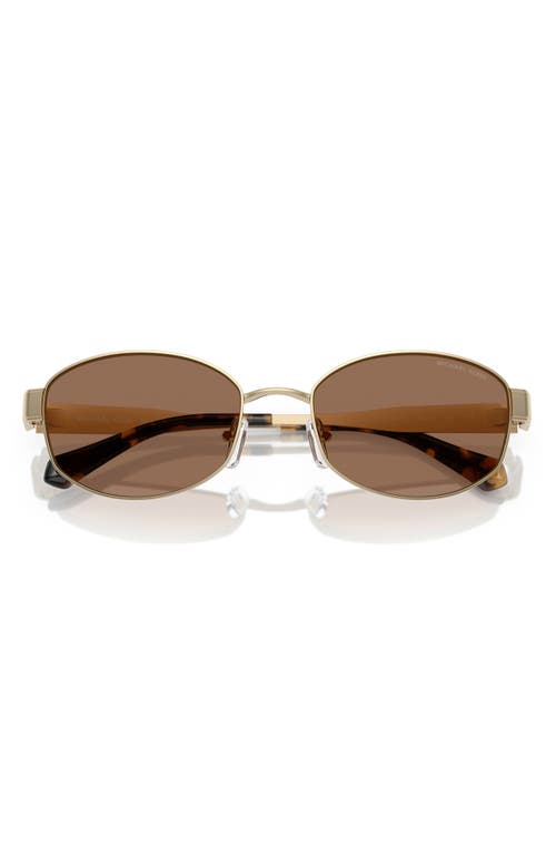 Michael Kors 56mm Oval Sunglasses In Brown/gold