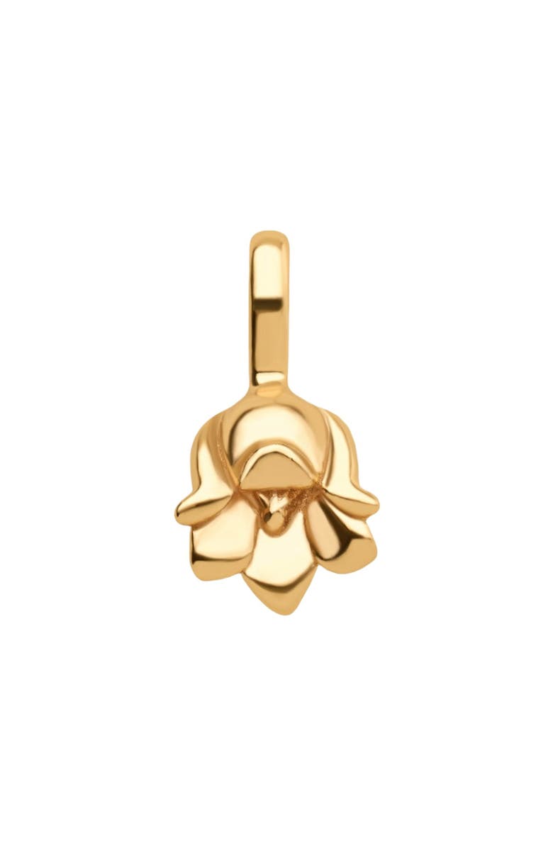 MADE BY MARY May Birth Flower Charm, Main, color, Gold Vermeil