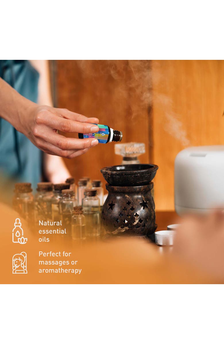 PURSONIC Aromatherapy Lovers Triple 14-Pack Essential Oils Collection, Alternate, color, Brown