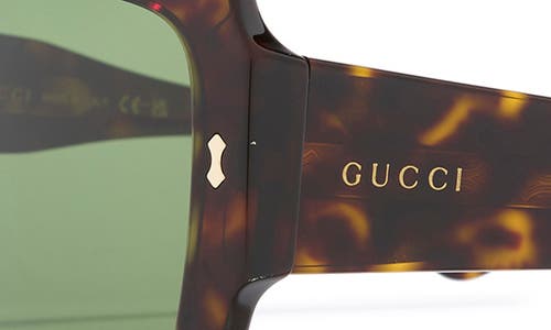 Gucci 53mm Square Sunglasses In Havana Havana Green