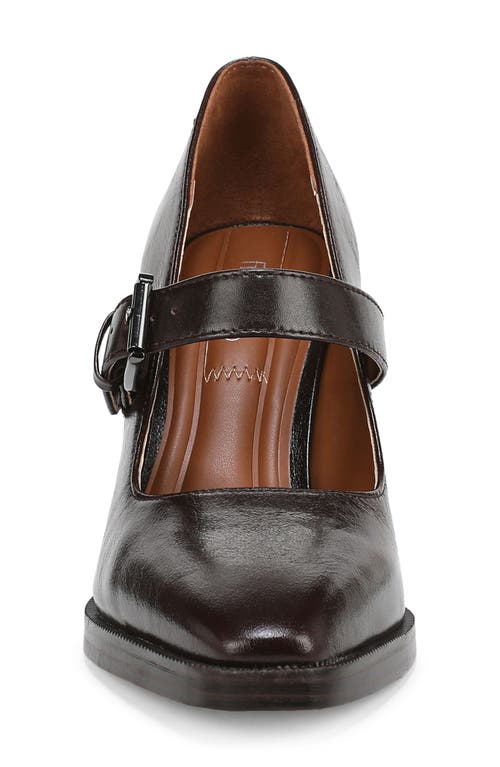 Franco Sarto Shalina Pump In Brown