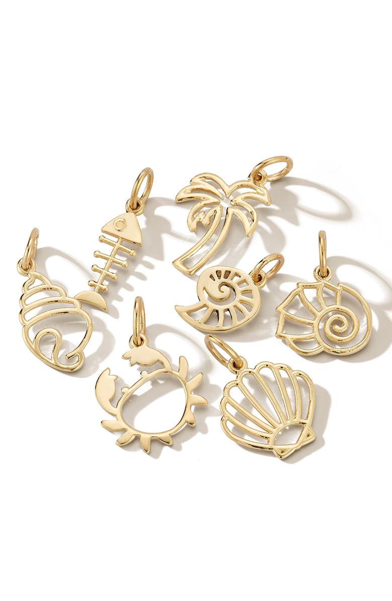 Ember Fine Jewelry 14K Gold Fishbone Charm, Alternate, color, Gold