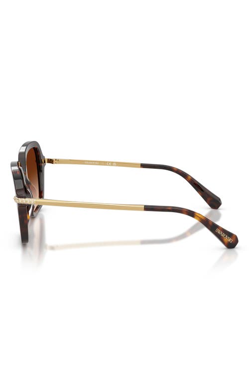 Swarovski Sk6040 Crystal-embellished Square Acetate Sunglasses In Brown