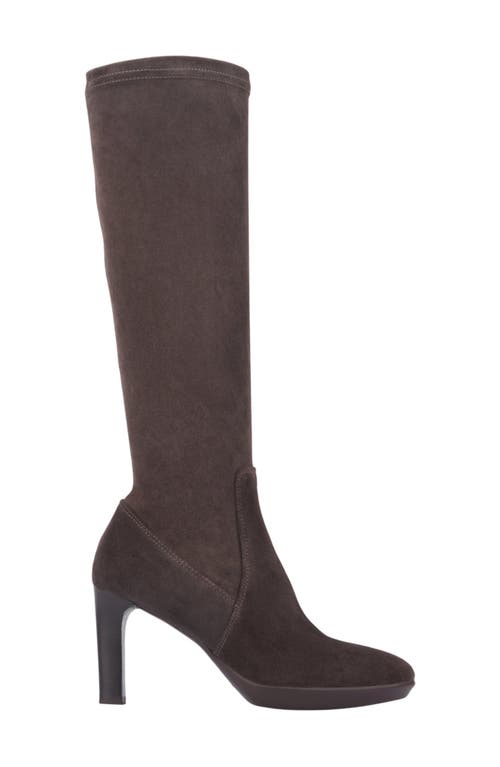 Aquatalia Rhumba Knee High Boot In Dark Brown
