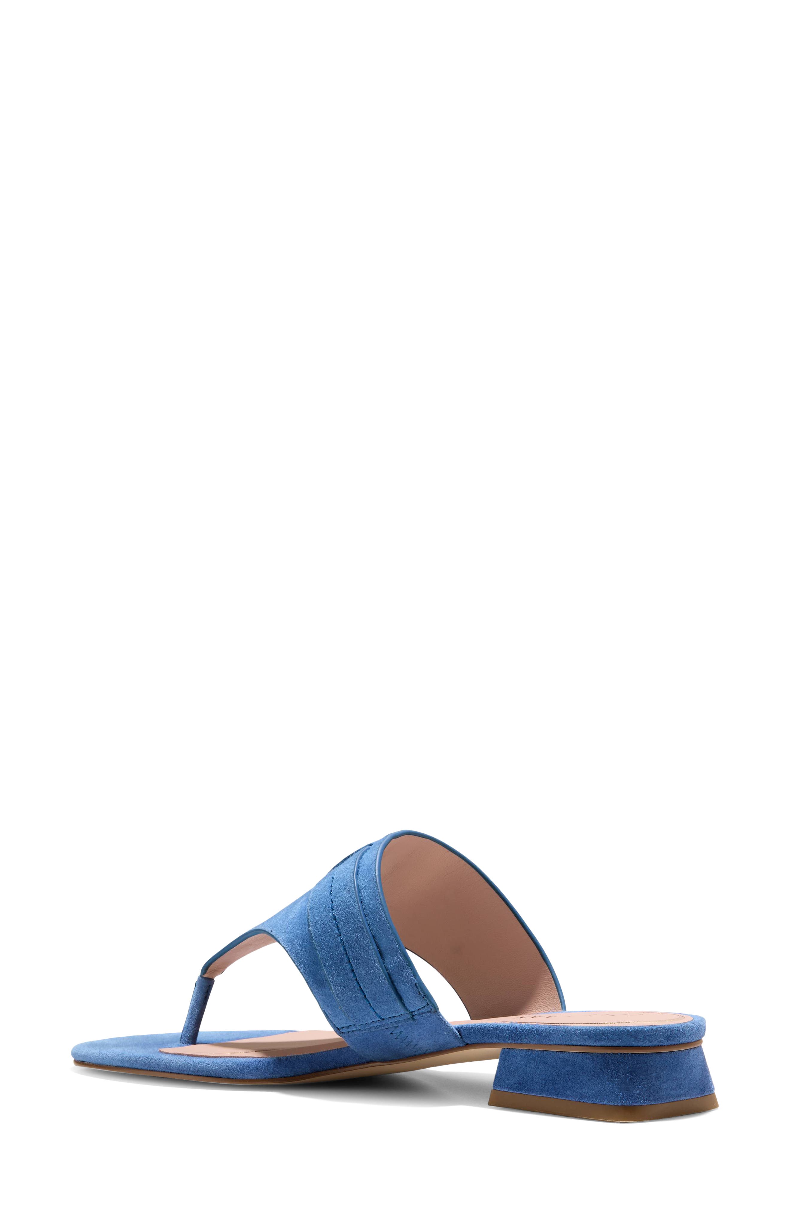 Cole Haan Gayle Flip Flop, Alternate, color, Dutch Blue Suede