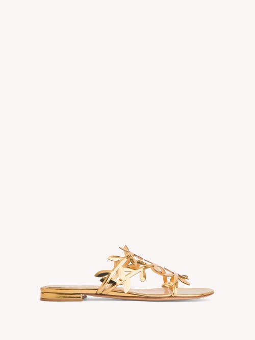 Shop Gianvito Rossi Flavia 05 Sandals In Gold