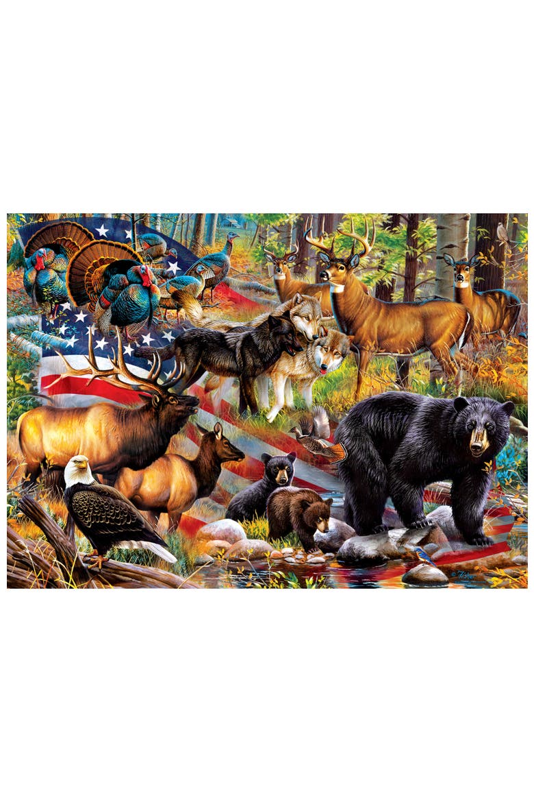 This Land is Your Land 1000pc Puzzle, Alternate, color, Multicolor