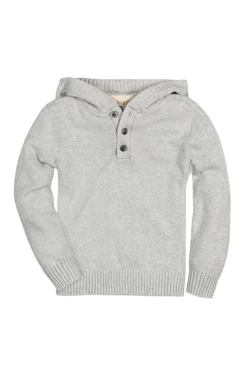 Hope & Henry Baby Boys' Organic Henley Sweater Hoodie, Infant, Main, color, 