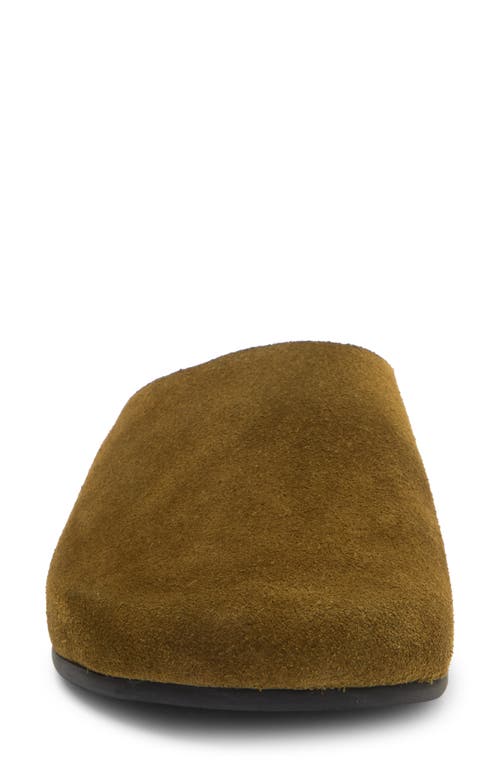 Jeffrey Campbell Content Suede Clog In Olive Suede