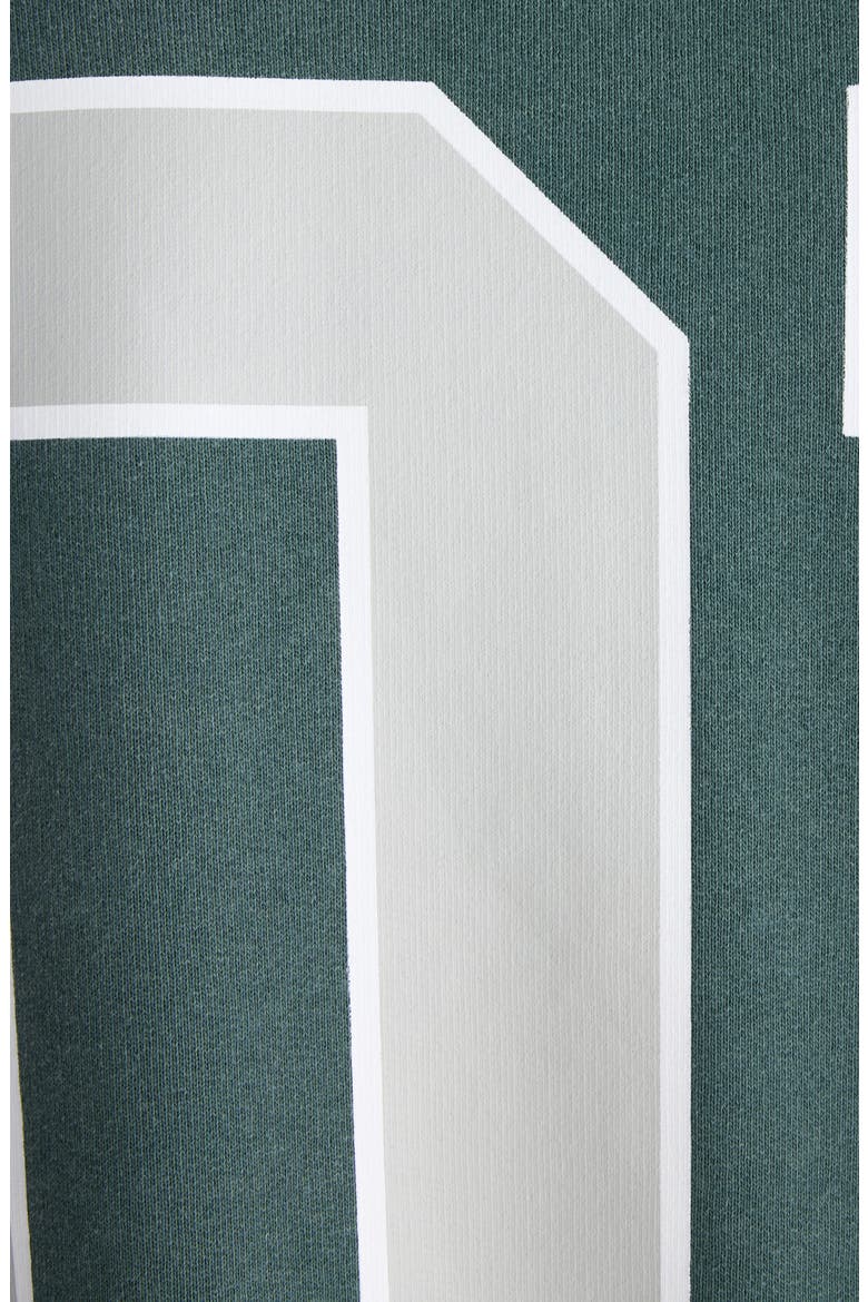Oversize Cotton Hoodie, Alternate, color, DARK GREEN/ LIGHT GREY