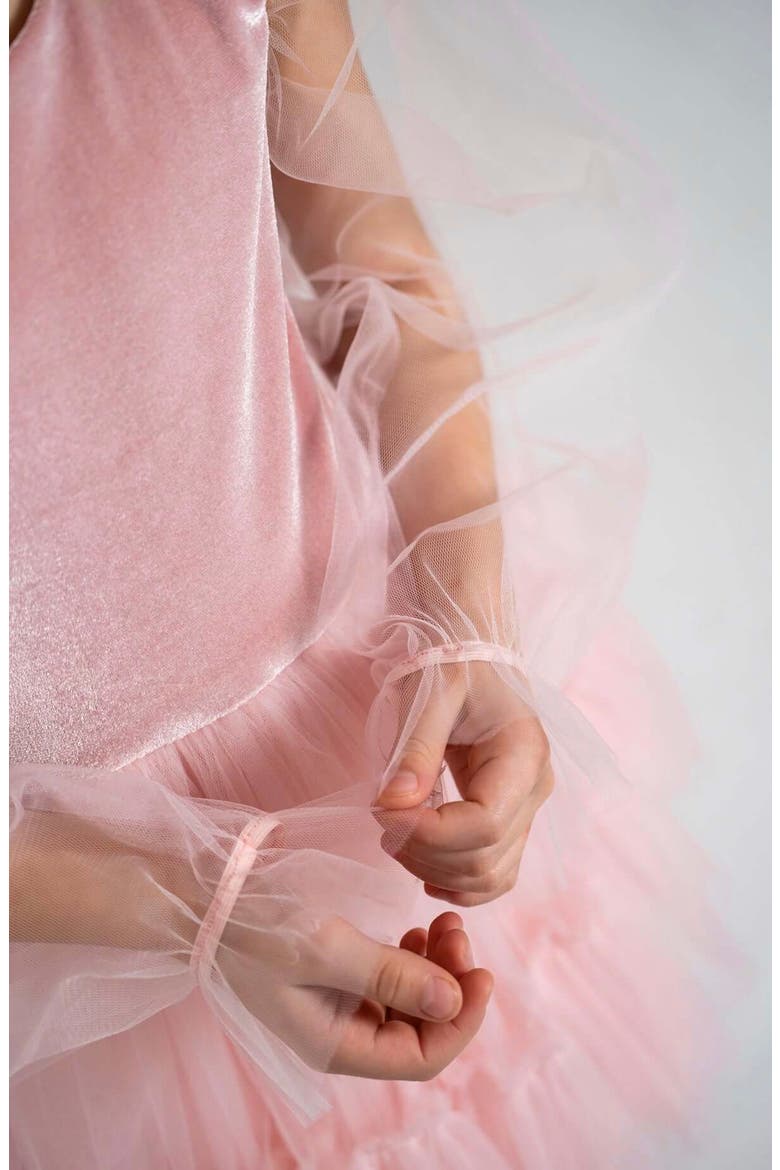 Grace Balloon Sleeve Velvet Tulle Dress, Alternate, color, Pink Rose