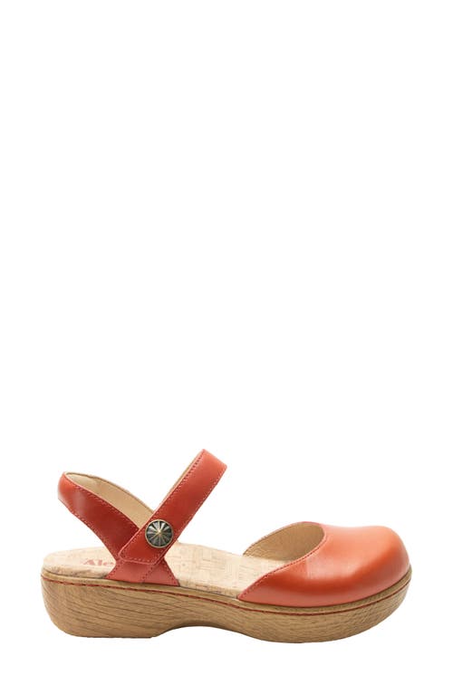 Alegria By Pg Lite Opal Ankle Strap Platform Clog In Pink