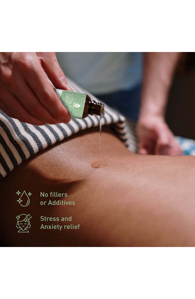 PURSONIC 100% Pure Essential Oil Blends, Alternate, color, Multicolor