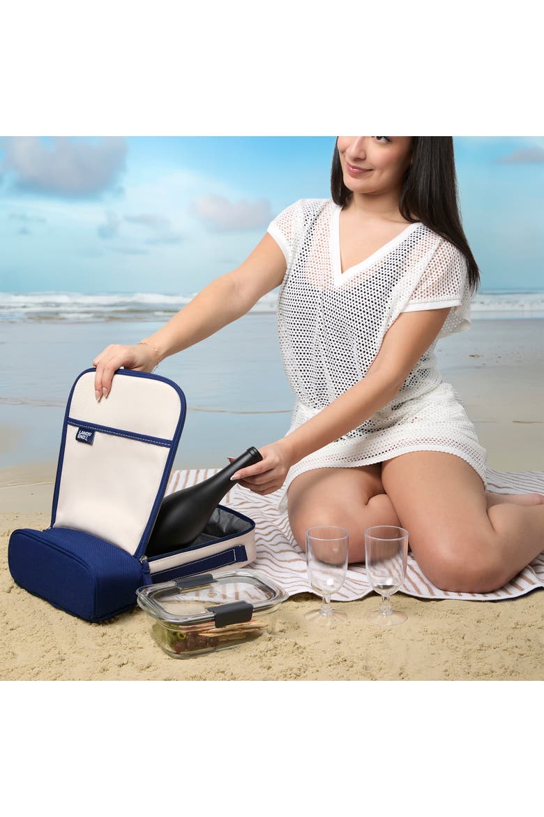 Medium Wine Cooler Bag with 2 BPA-Free Glasses, Insulated Wine Bag for Travel, Alternate, color, Navy