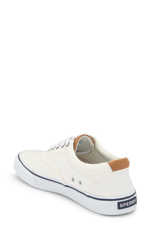 Sperry Striper Ii Cvo Sneaker In White
