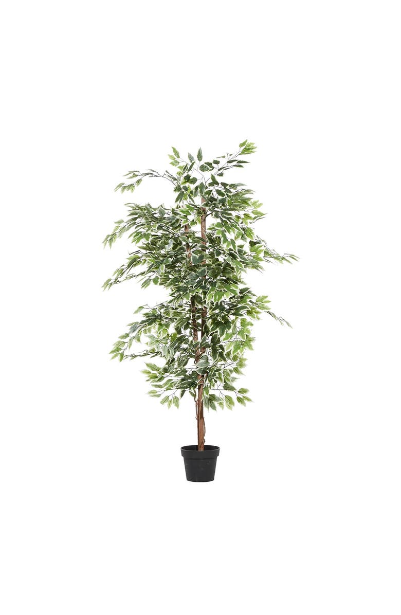 GINGER BIRCH STUDIO FICUS TREE ARTIFICIAL DECORATI, Alternate, color,
