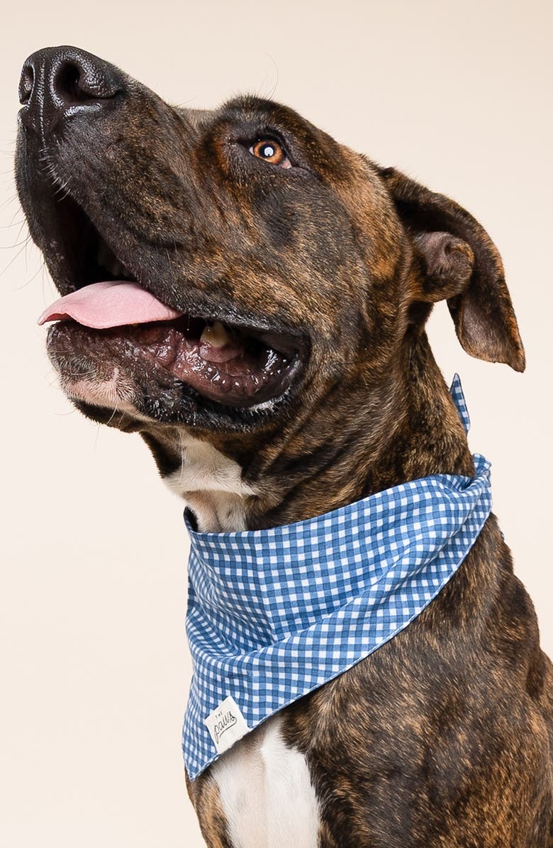 The Paws Blue Gingham Dog Bandana, Alternate, color, Blue