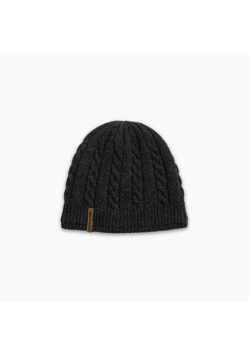 Turtle Fur Wesley Winter Hat In Black