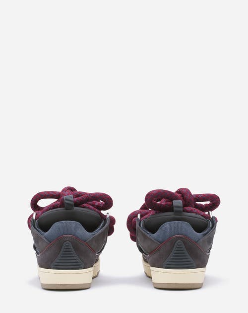 Lanvin Curb Sneakers In Leather With Snake Laces In Shark Grey