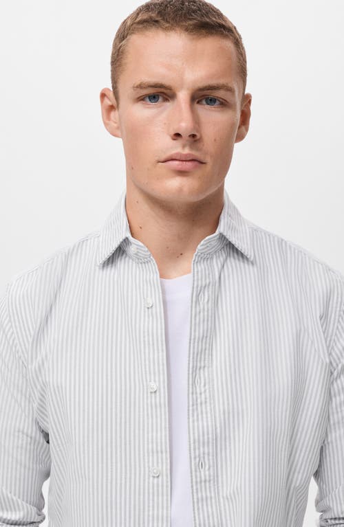 Mango Stripe Cotton Button-up Oxford Shirt In White