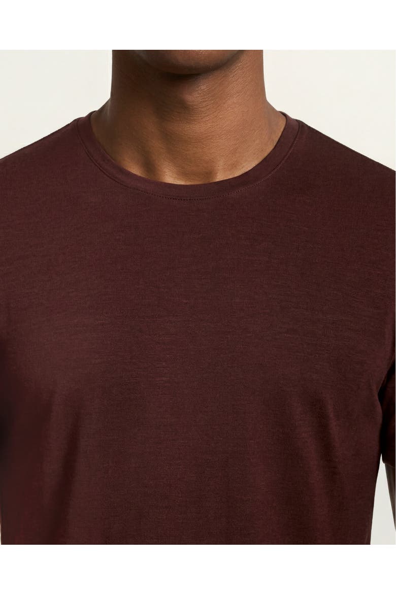 Ob-T Merino Tailored Fit T-Shirt, Alternate, color, PECAN