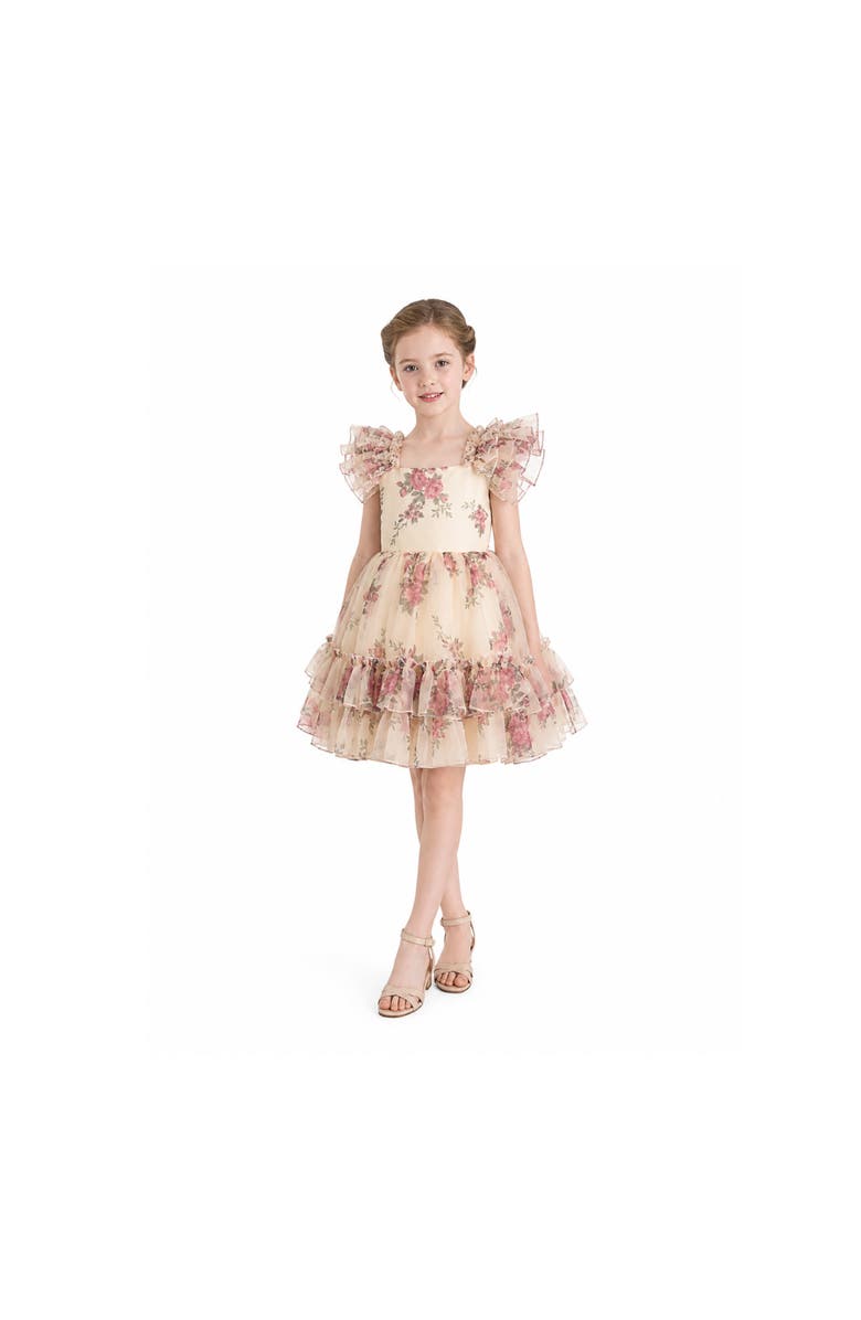 Tulleen Rosavine Floral Tulle Dress, Alternate, color, Cream