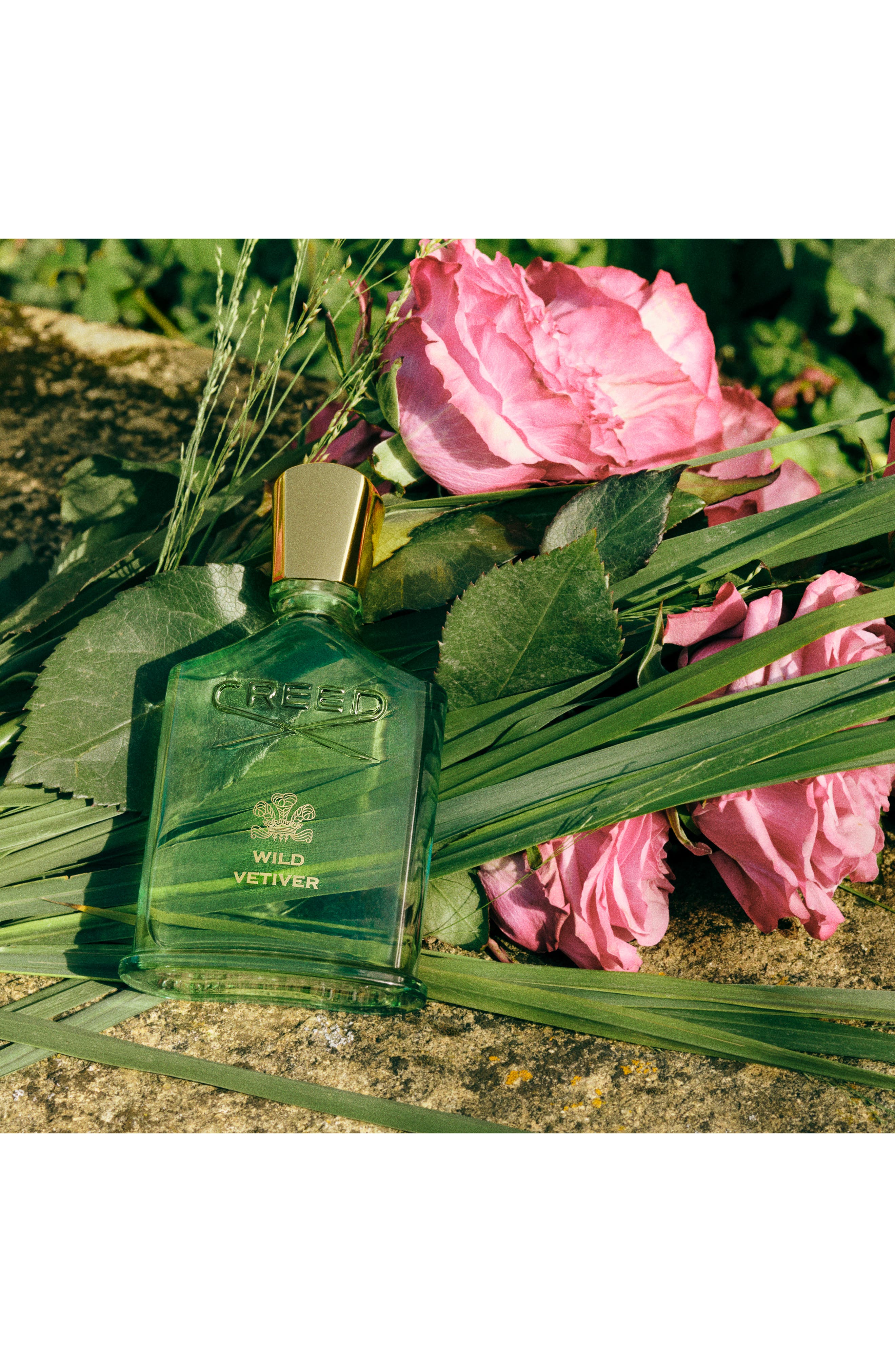 Wild Vetiver Eau de Parfum | Nordstrom
