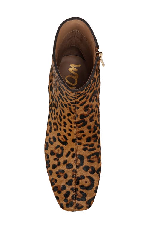 Sam Edelman Paige Genuine Calf Hair Bootie In Granada Tan Calf Hair