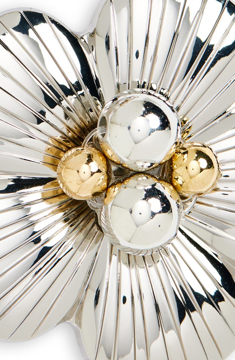 Chopova Lowena Zvete Set of 2 Hair Clips, Alternate, color, 