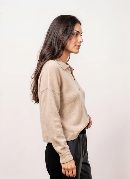 Central Park West Robbie V-neck Polo In Brown