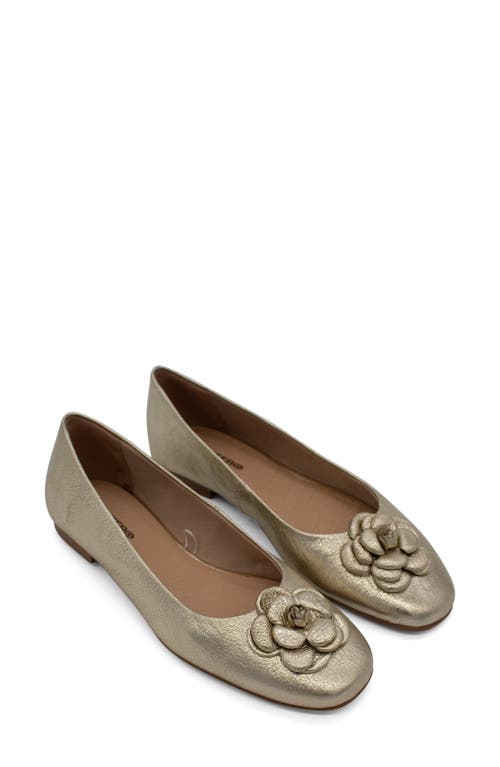 Bottero Botsamya Ballet Flat