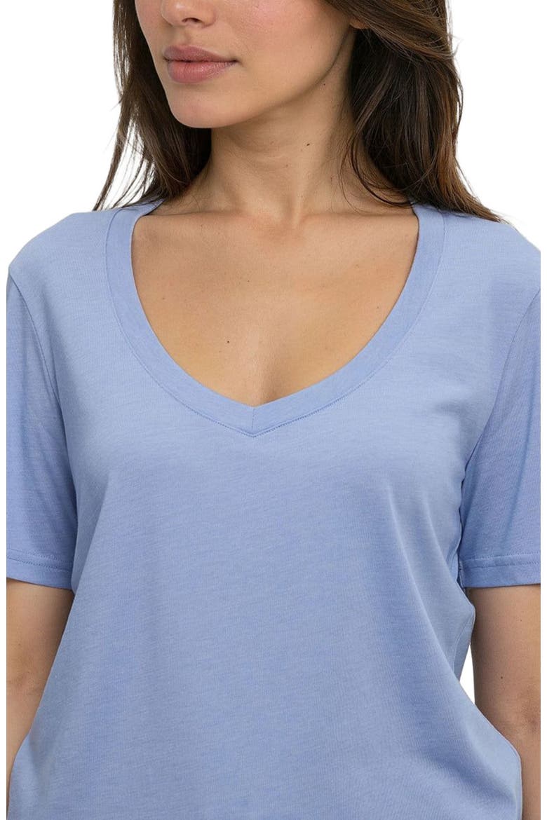 Brackley T-Shirt, Alternate, color, Lakeside Blue Heather