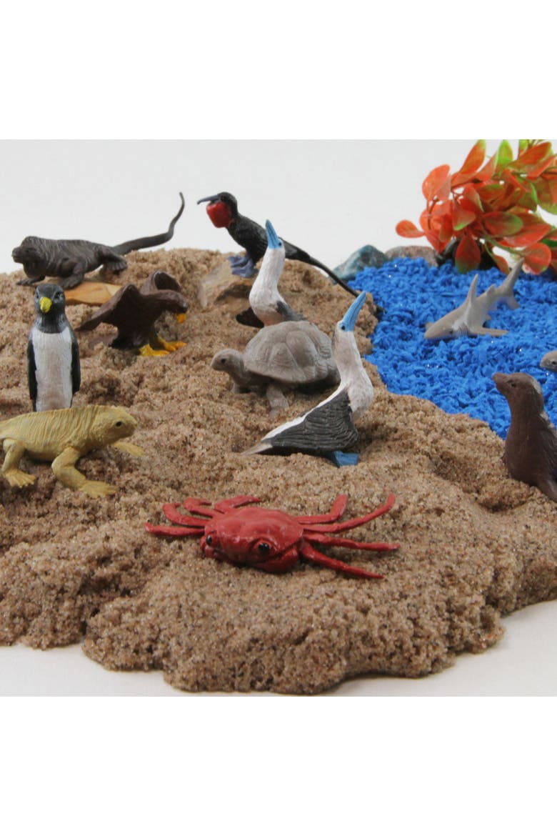 Galapagos Toy, Alternate, color, No Color