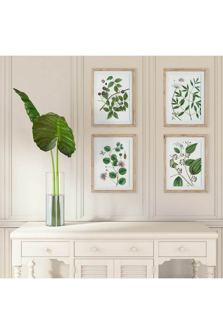 Verdant Branch Prints Set of 4, Alternate, color, Green