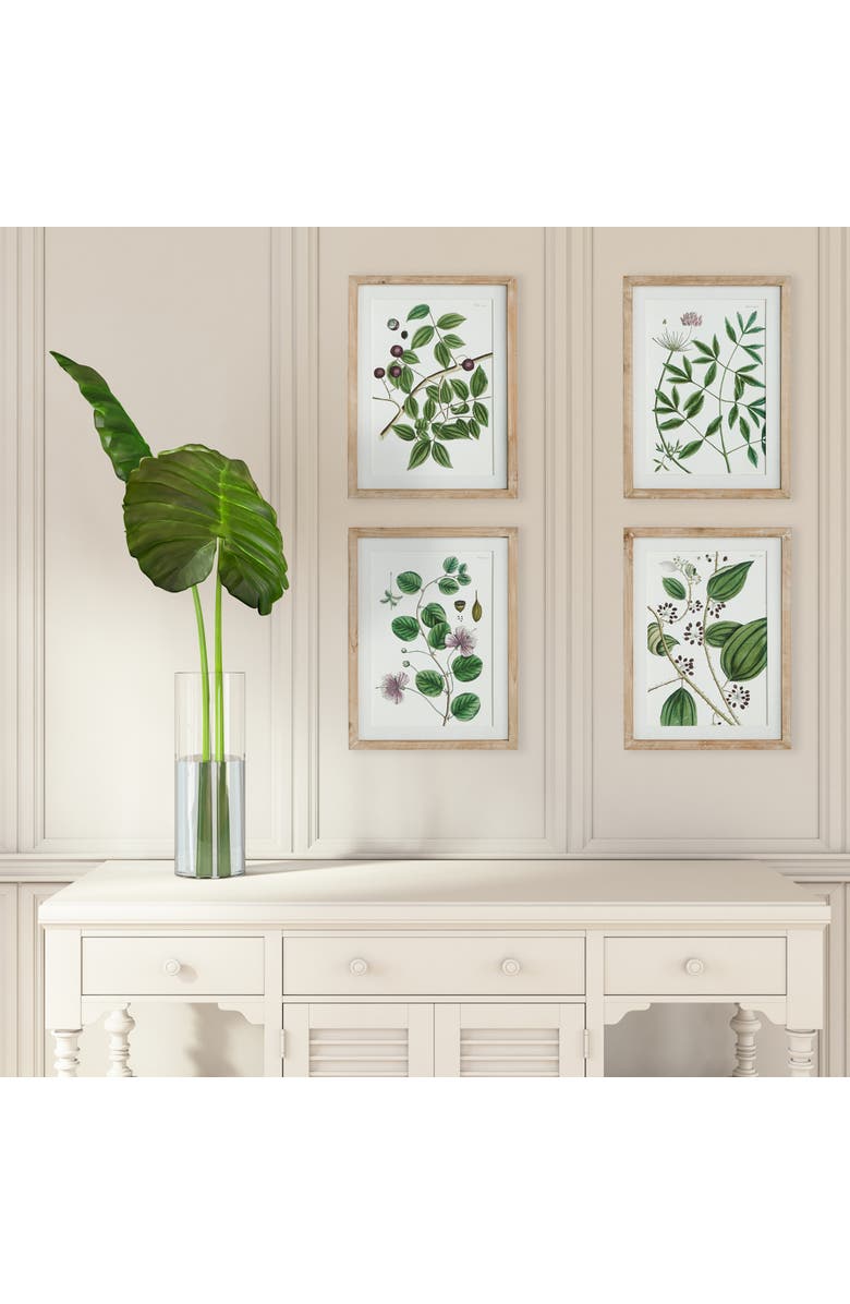 Napa Home & Garden Verdant Branch Prints Set of 4, Alternate, color, Green