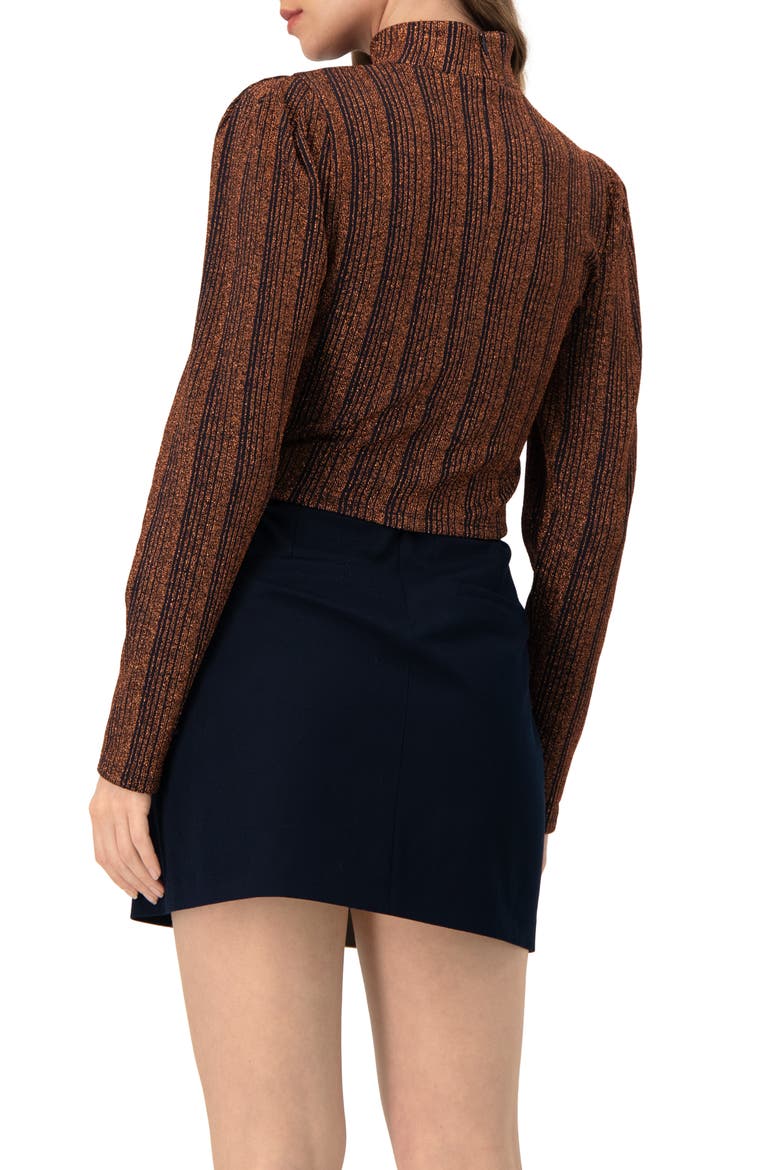 High Neck Long Sleeve Top, Alternate, color, Brown