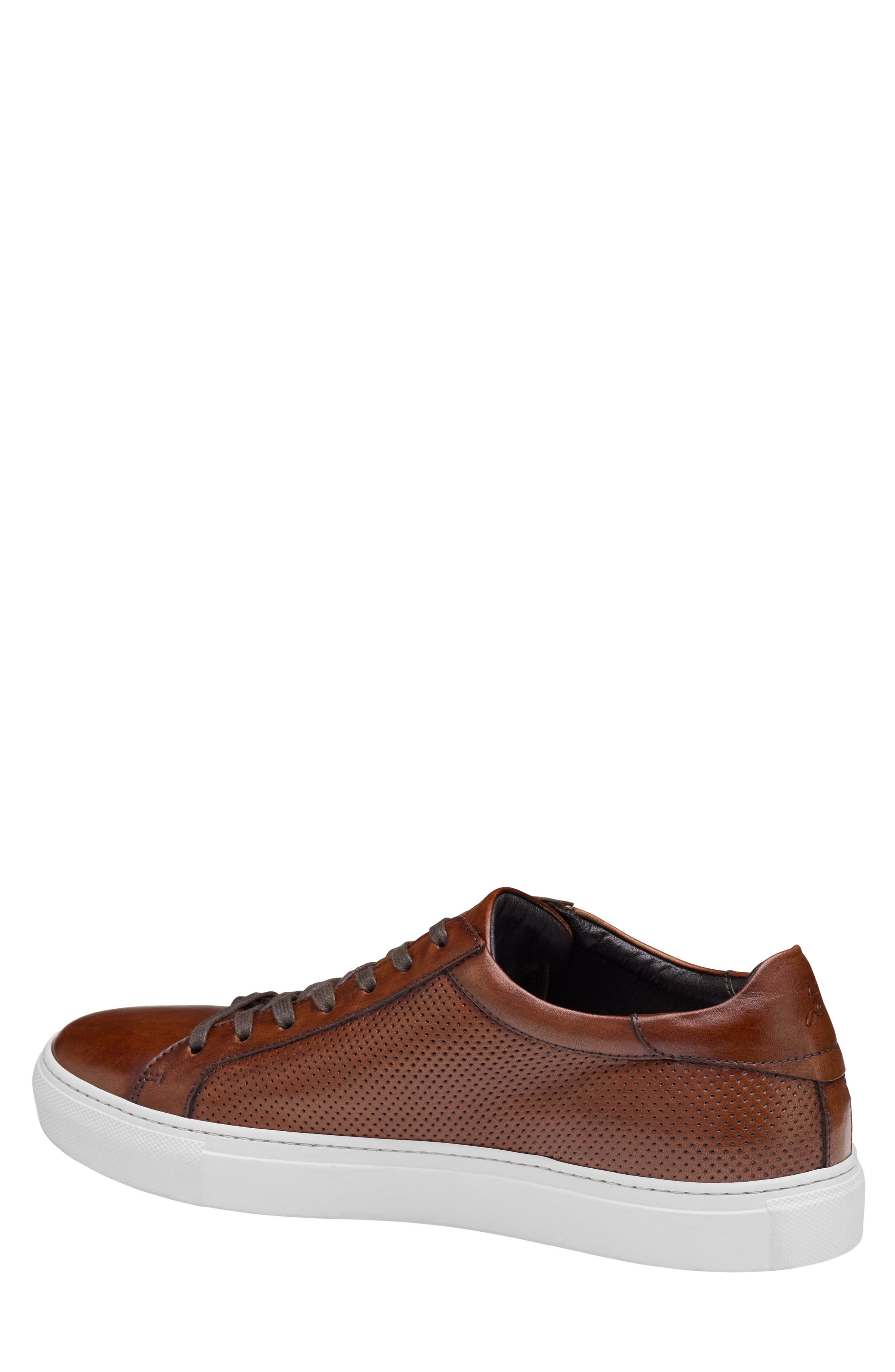 JOHNSTON & MURPHY COLLECTION Johnston & Murphy Jake Perforated Lace to Toe Water Resistant Sneaker, Alternate, color, 