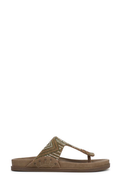 Shop Blowfish Malibu Lyric Flip Flop In Walnut Beaded Faux Nubuck